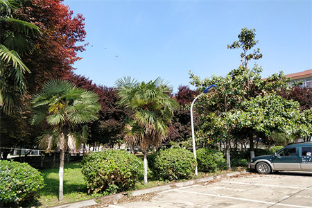 酿造小区3室2厅1卫116㎡，带车库